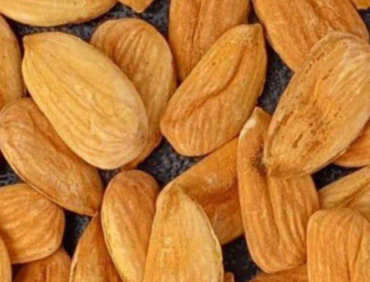 فروش و قیمت مغز بادام شاهرودی 110 دانه